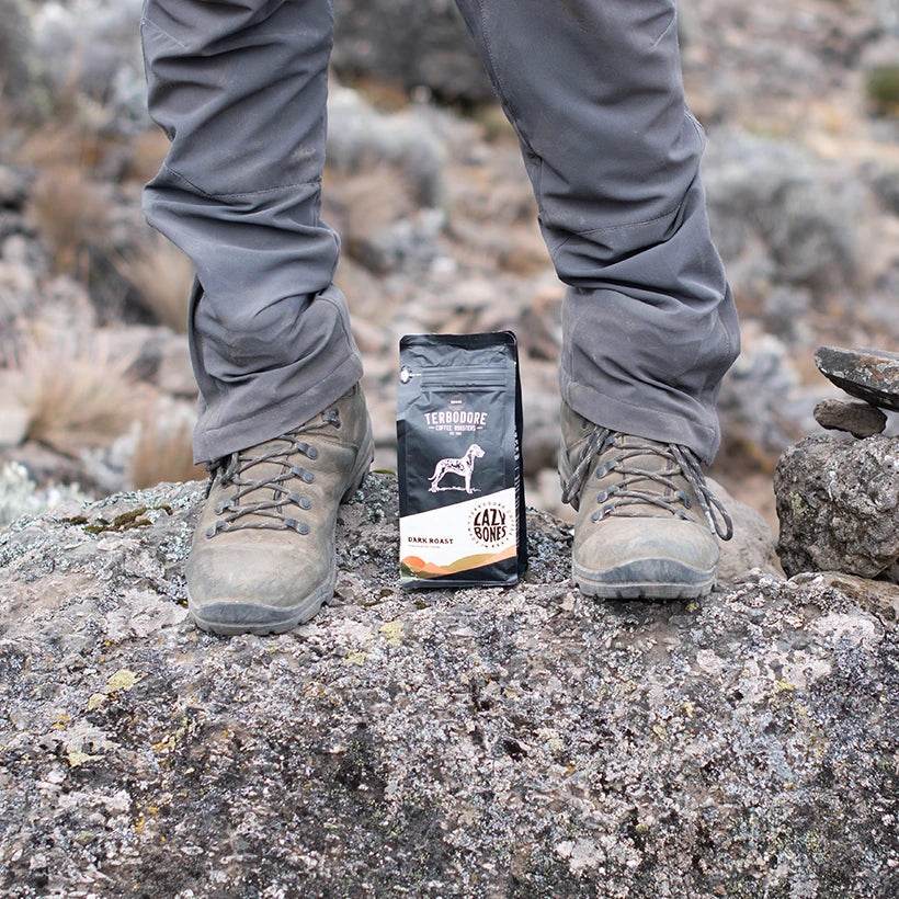 Lazy Bones - Climbing Kilimanjaro Part 1 of 3 - TERBODORE Coffee Roasters