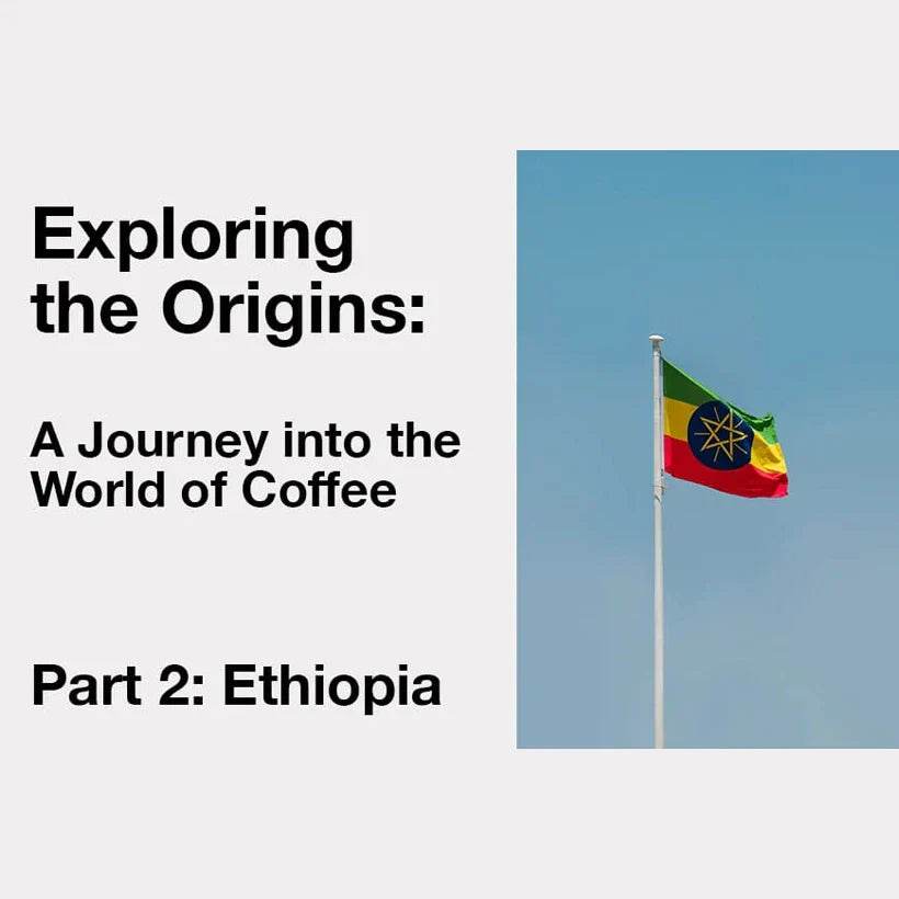 Exploring the World of Coffee: Ethiopia - TERBODORE Coffee Roasters