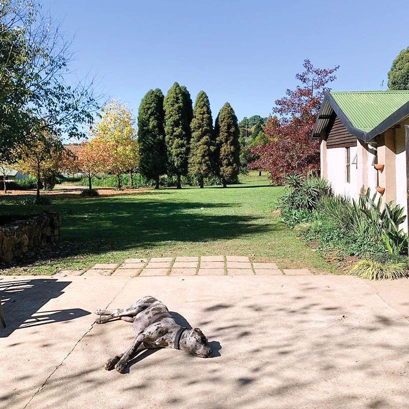 Terbodore is the Best Coffee Shop in KZN - TERBODORE Coffee Roasters