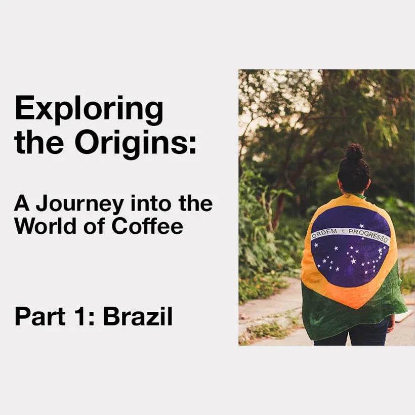 Exploring the World of Coffee: Brazil - TERBODORE Coffee Roasters