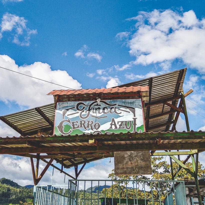 A Single Origin Treat - Honduras Finca Cerro Azul - TERBODORE Coffee Roasters