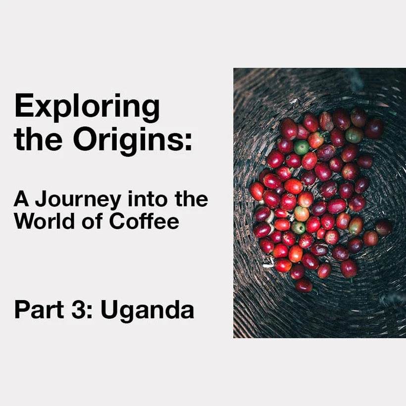 Exploring the World of Coffee: Uganda - TERBODORE Coffee Roasters