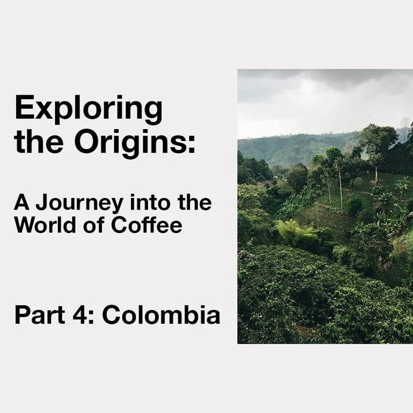Exploring the World of Coffee: Colombia - TERBODORE Coffee Roasters