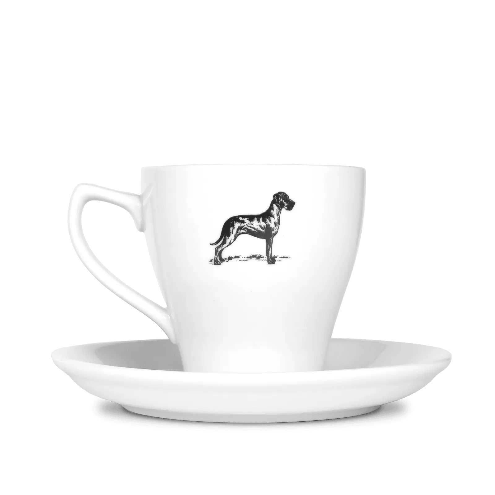 Terbodore Cup & Saucer.