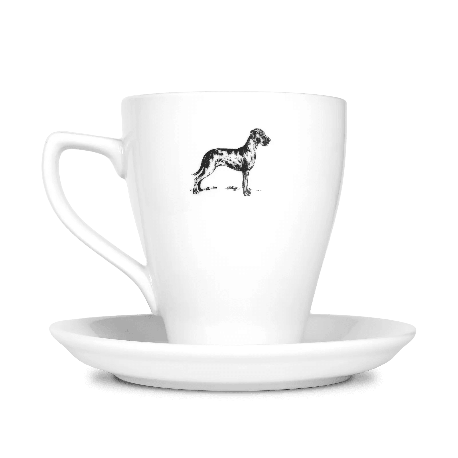 Terbodore Cup & Saucer.