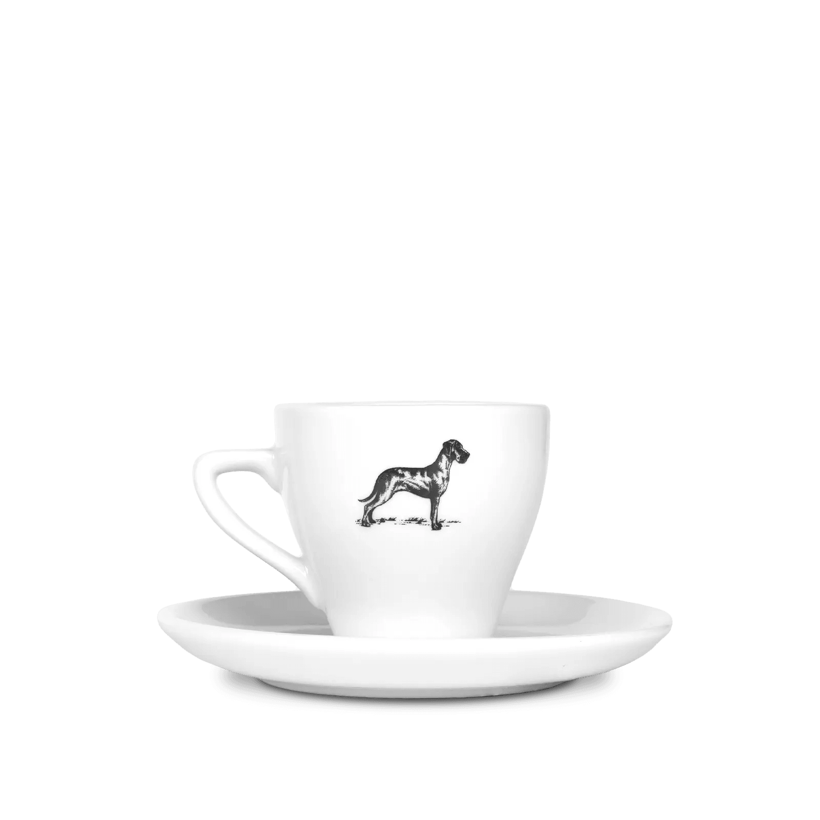 Terbodore Cup & Saucer.