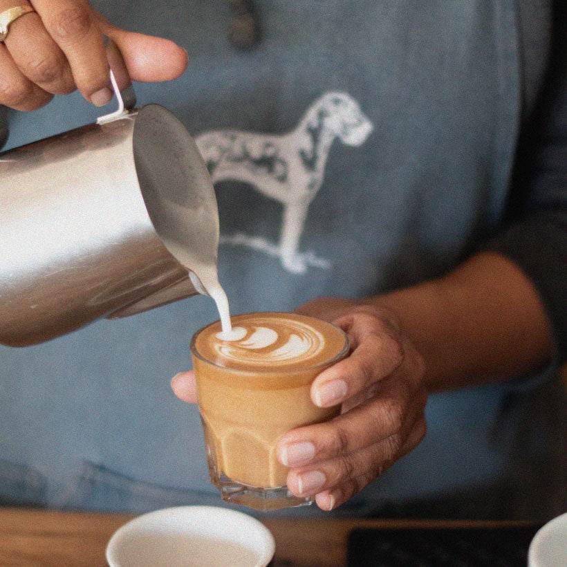 Barista Guide - TERBODORE Coffee Roasters