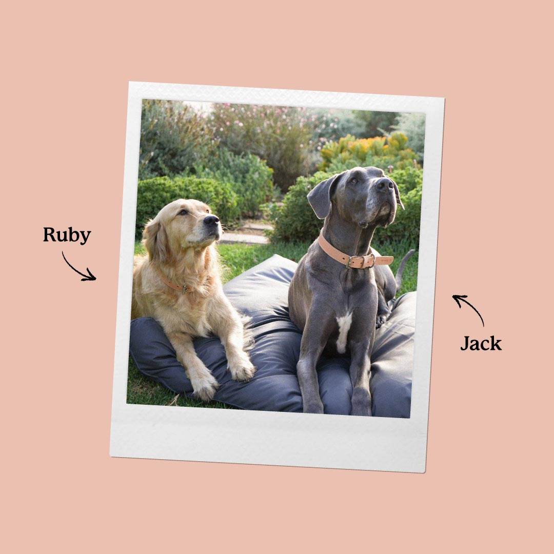 Jack & Ruby Dog Treats - TERBODORE Coffee Roasters