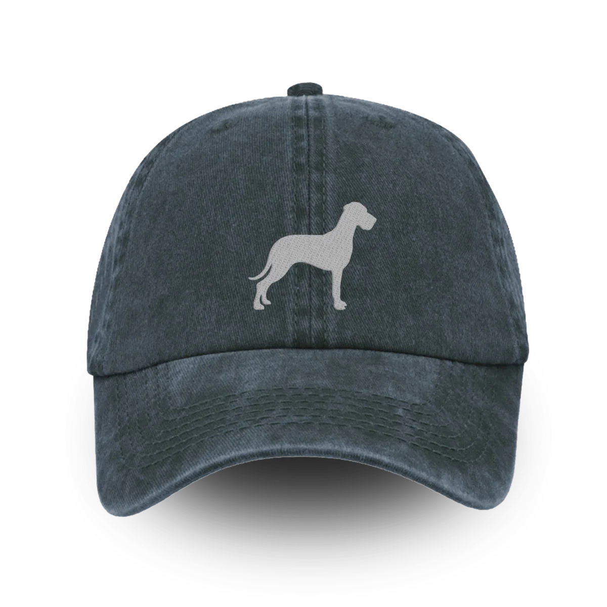 TCR Classic Washed Cap