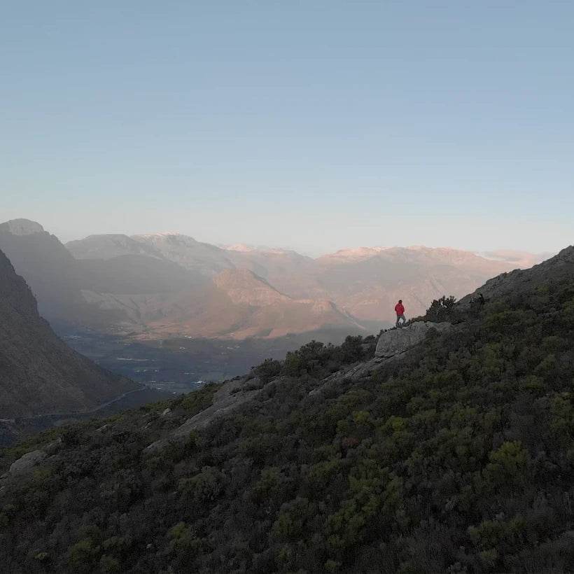 Coffee Mornings with Lazy Bones - TERBODORE Coffee Roasters