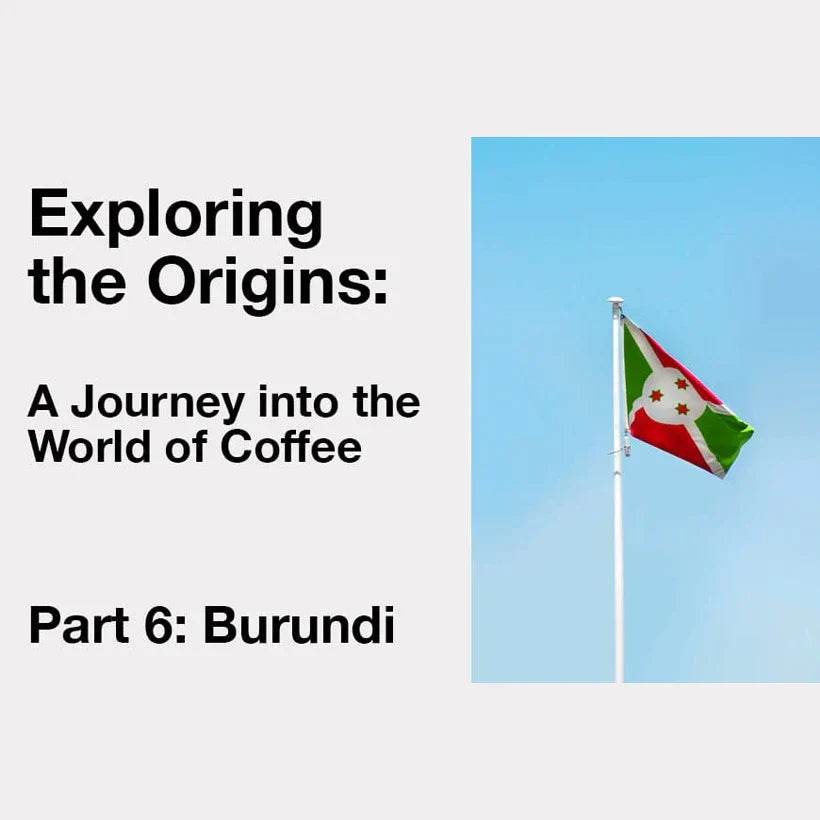 Exploring the World of Coffee: Burundi - TERBODORE Coffee Roasters
