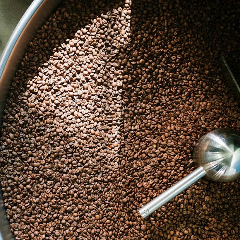 Why Coffee Blends Are So Amazingly Popular - TERBODORE Coffee Roasters