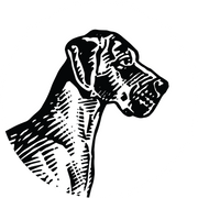 TERBODORE Coffee Roasters logo