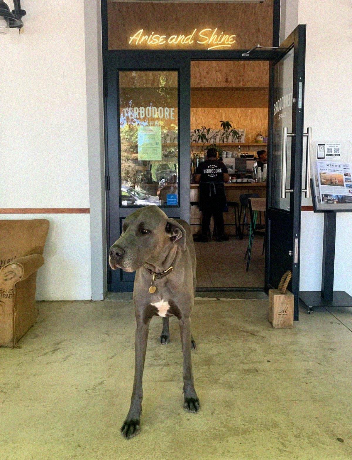 CAFE - TERBODORE Coffee Roasters