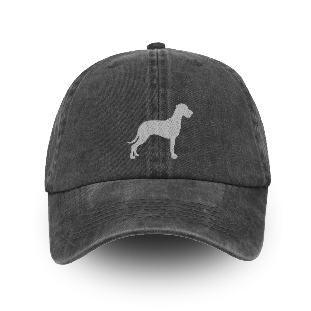 TCR Classic Washed Cap