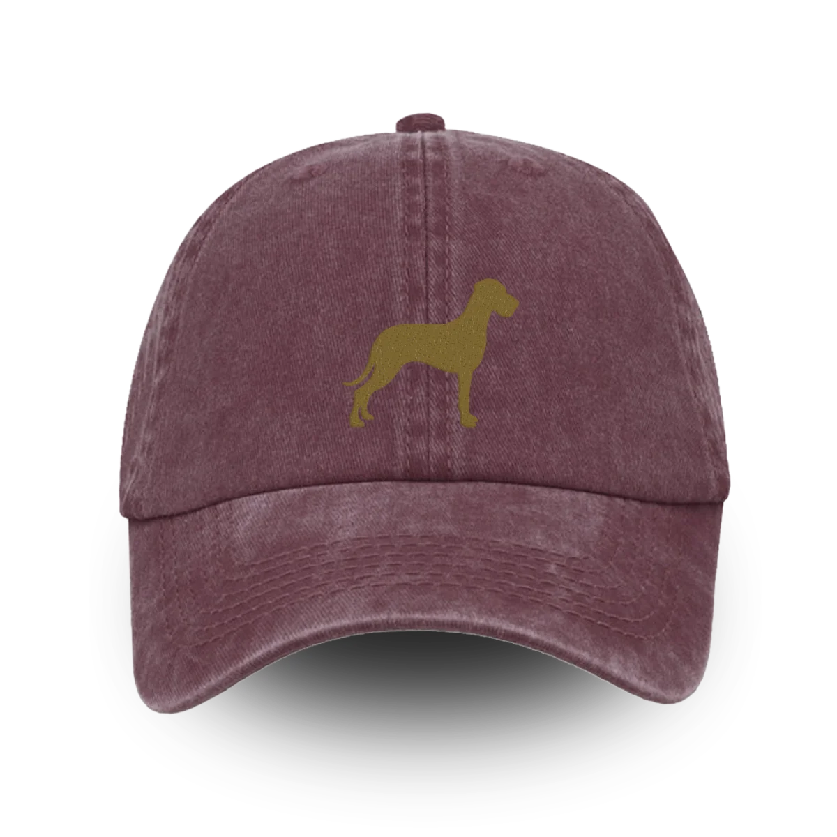 TCR Classic Washed Cap