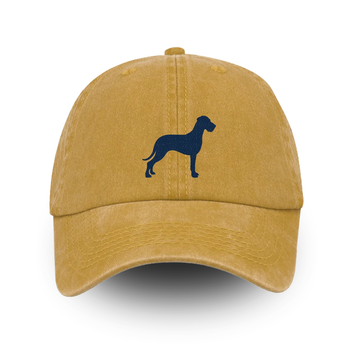 TCR Classic Washed Cap