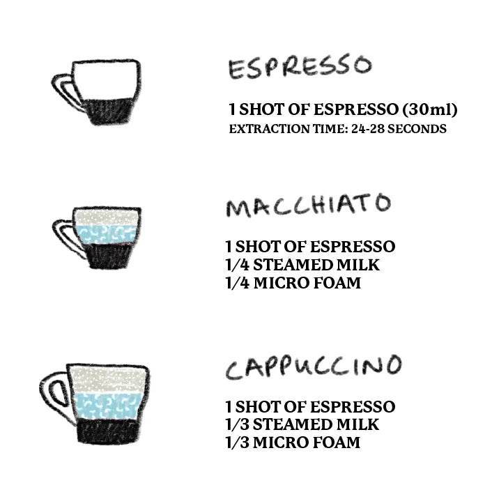 barista-guide-2024-sample-02_d400dac6-3c57-414a-863c-3501ba848385 - TERBODORE Coffee Roasters