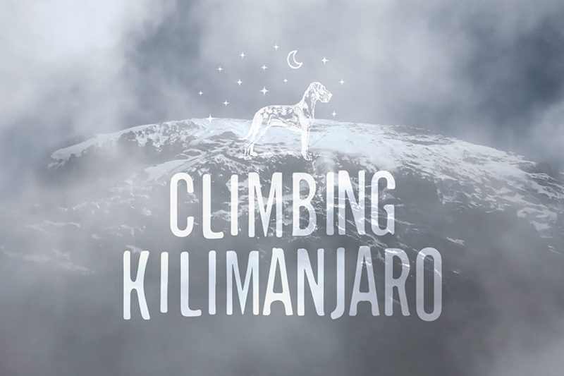 Climbing Kilimanjaro with Great dane dog logo - Terbodore