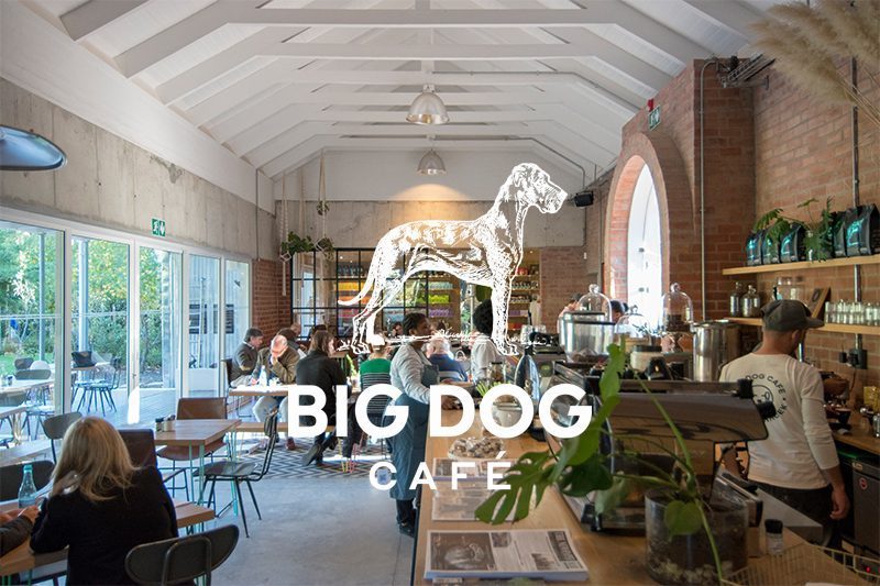 Big Dog Cafe photo of the cafe inside with people sitting - Terbodore