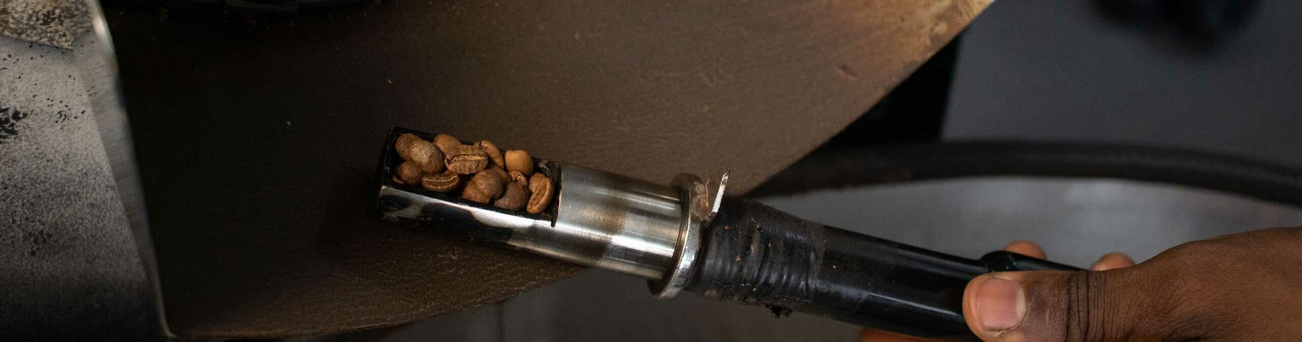 Man holding coffee beans - Terbodore