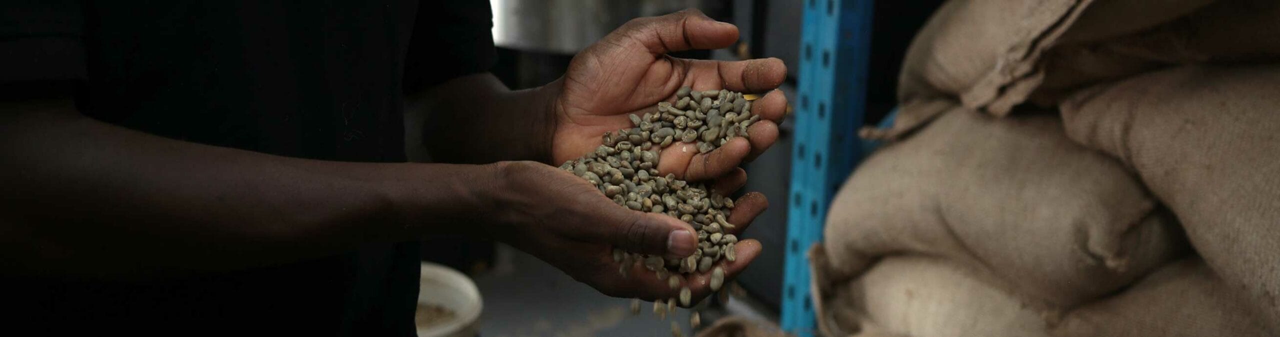 Man holding coffee beans - Terbodore