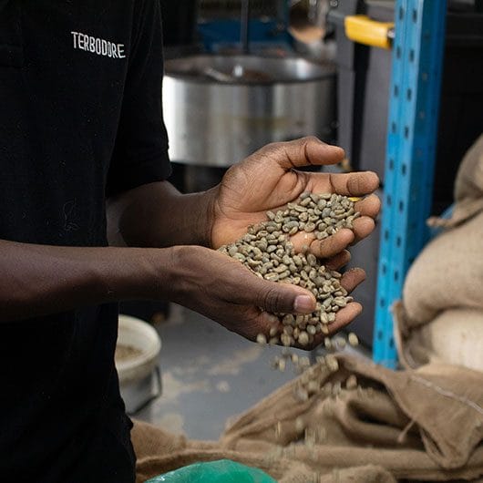 Man holding coffee beans - Terbodore