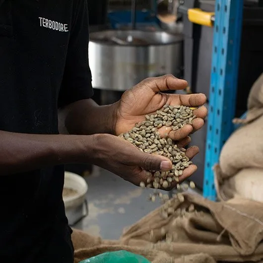 Man holding coffee beans - Terbodore